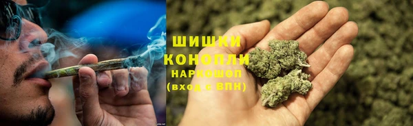 стаф Снежинск