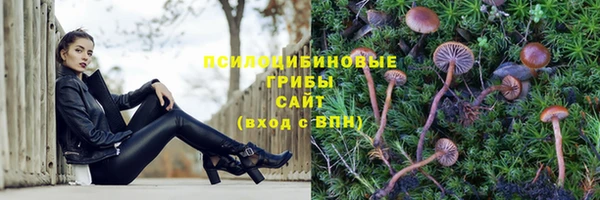 apvp Волоколамск